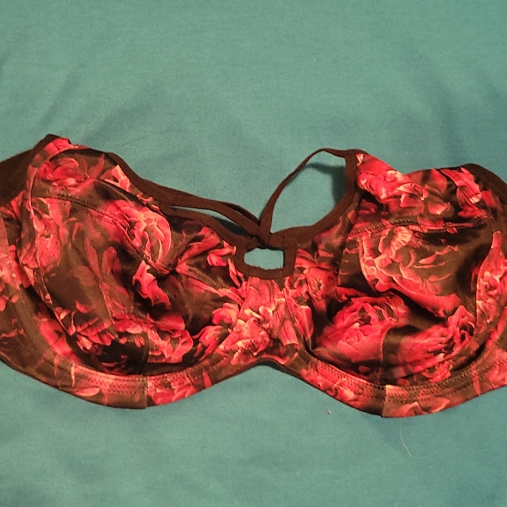 Elomi 36dd dark rose